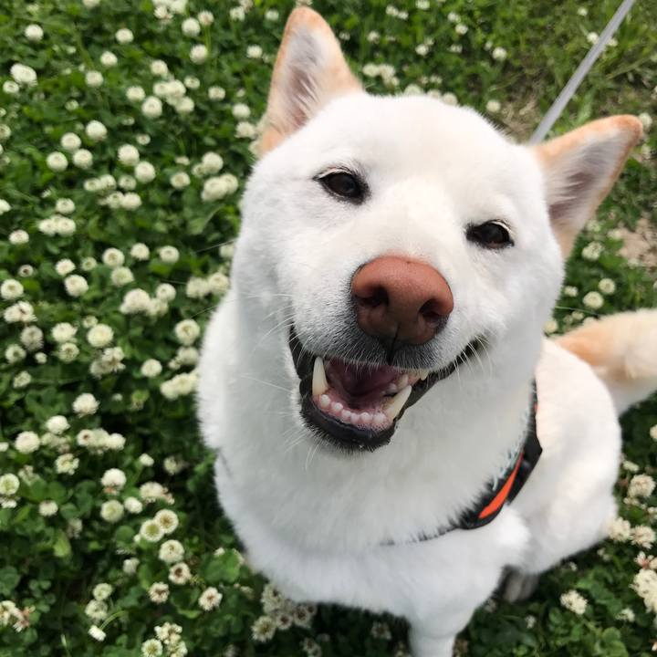 C40267a8 a2da 4092 ac21 507cb972250e 1525583908047