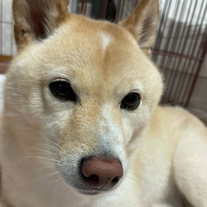 C402f25e 0169 4559 a40f 116ffe35c2b7 1695727741850