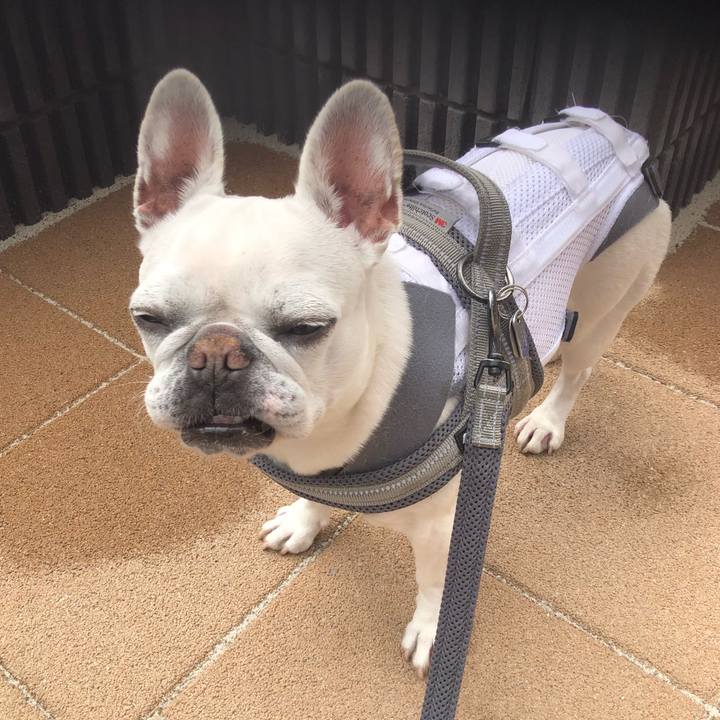 C4030b07 b13b 4da5 9273 74dd8a29425b 1647663311740