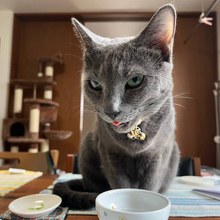 C4034fec fc0e 4f16 8475 617becf7e77d 1688519047530