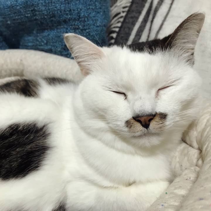 C4035a52 0b6e 4b47 9cfe 940a996f74dc 1581134521331