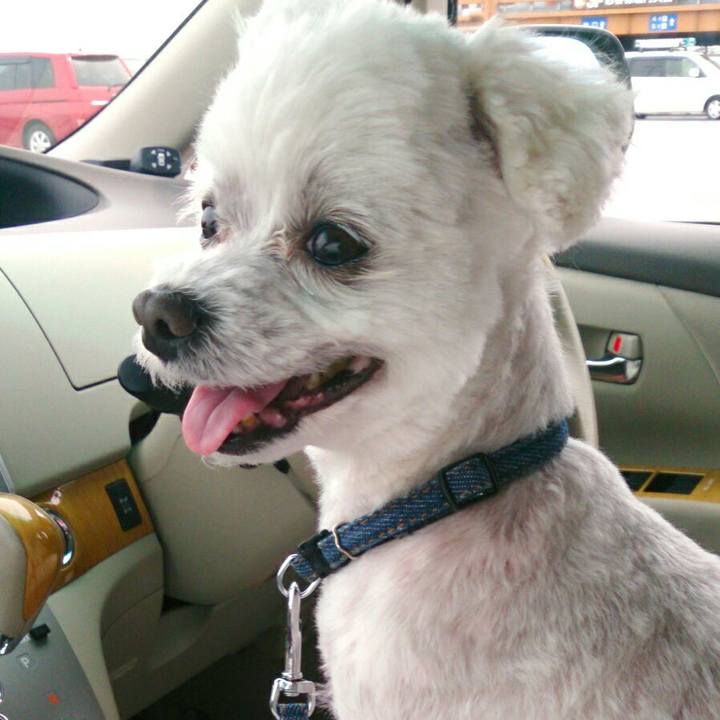 C4037996 076e 4ae9 af82 7b91cd0a7065 1507851171194