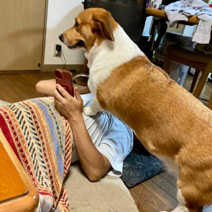 C4038220 9d87 4310 a12e 6aef9abddca1 1694911463931