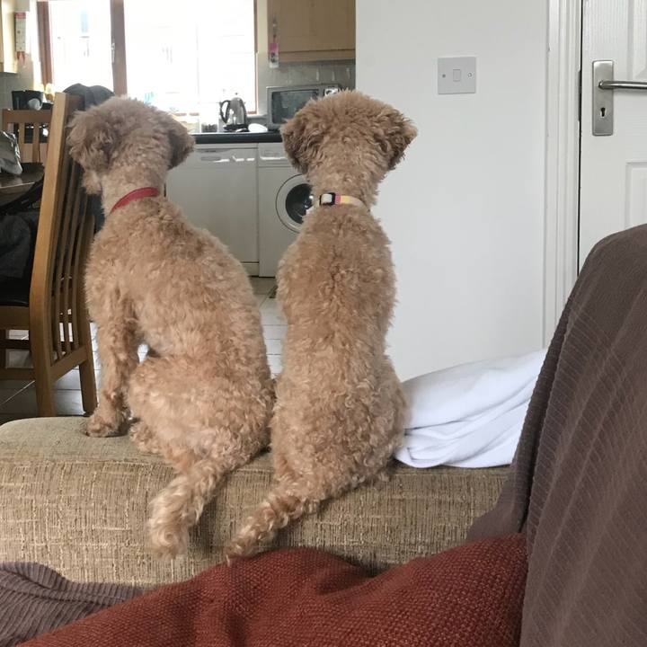 C4039af0 a96c 4721 919c 496867939370 1533585012299