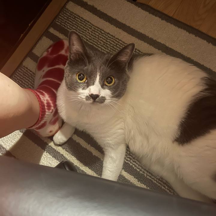 C403c18b f091 498d a265 fccb3b485f1d 1755157463250