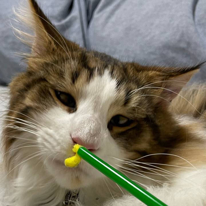 C40412ef c981 4250 b599 69085a1554f5 1642071471199