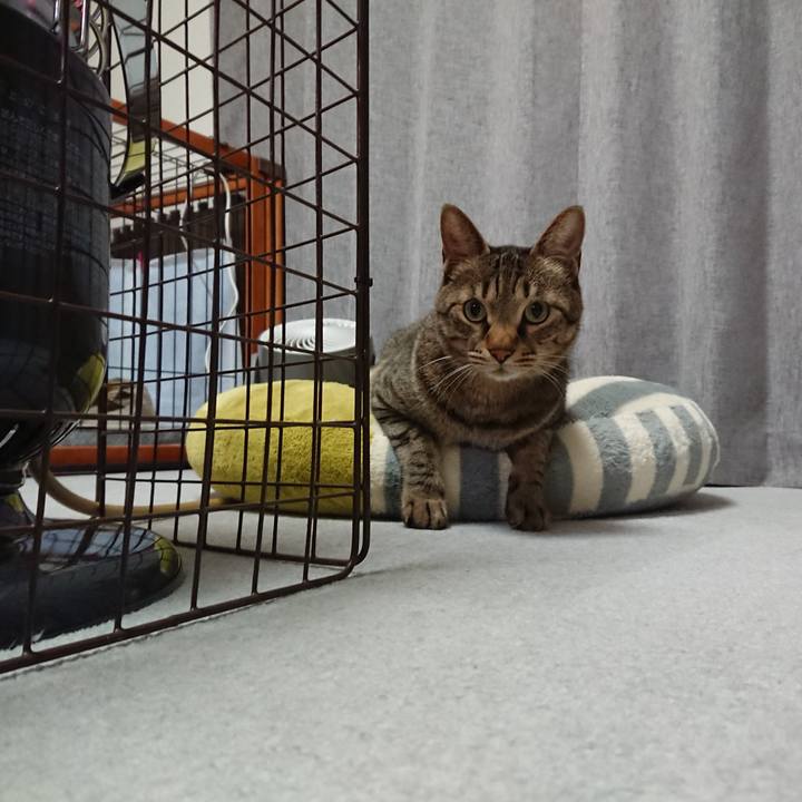 C4041a41 0422 43bf a6d3 5348f91c7ba4 1578413212476