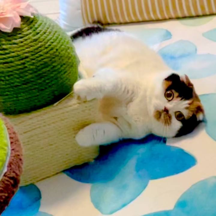 C40454d9 0fc7 4161 945c 8c0a43e0f6ac 1655989544224