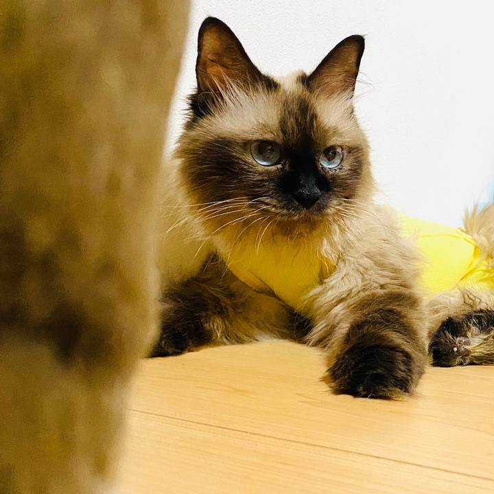 C40455d4 e335 4186 abb8 527bead05508 1694143717199