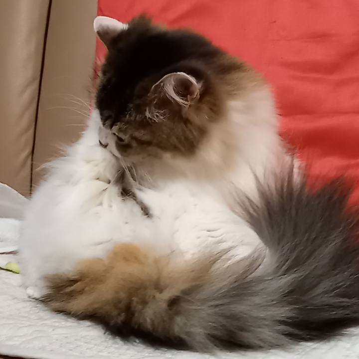 C404f875 7f8a 4a02 a2bd a73d59cdae6a 1642203225312