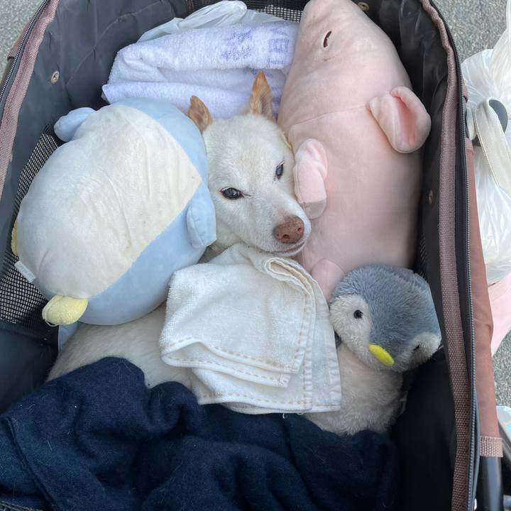 C405067d 874d 4737 8d51 c8b7371212ee 1682985497713