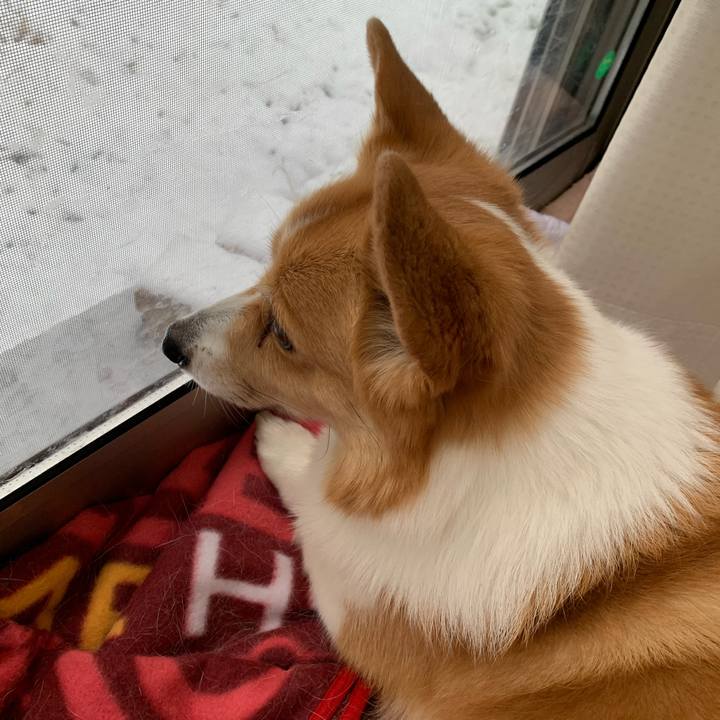 C405112e 4e71 44e7 ae72 dec847b02929 1585449157172