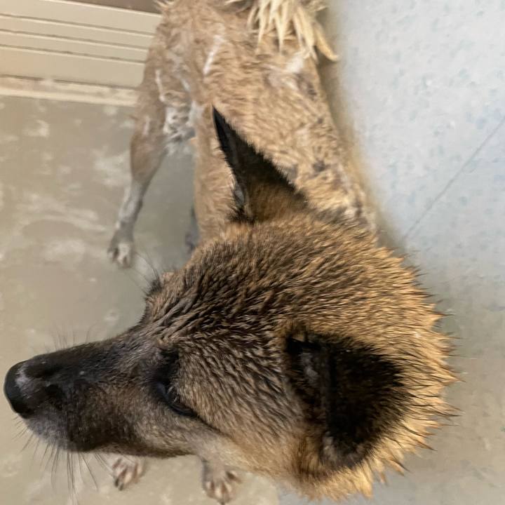 C40525ea cea3 4931 8f82 5c08bb8c75e0 1696766526815