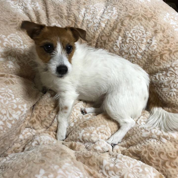 C40538c2 d187 4ddb 9d32 bb9dfb0ba3ef 1541905111824