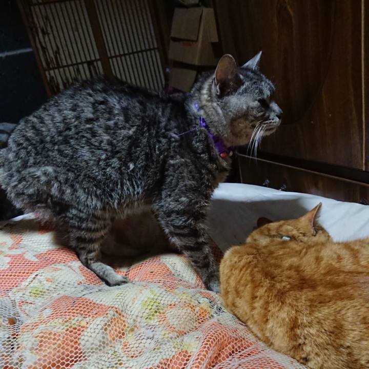 C4056214 6ff4 4af1 890d b7d7560df3f5 1585396698016