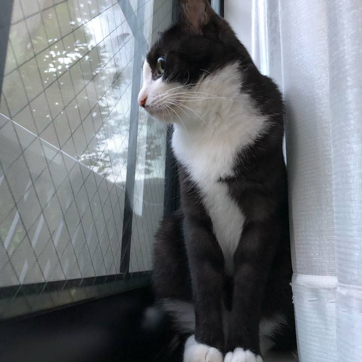 C4058c39 bdb4 4a52 98b2 9ac53e198362 1531424778346