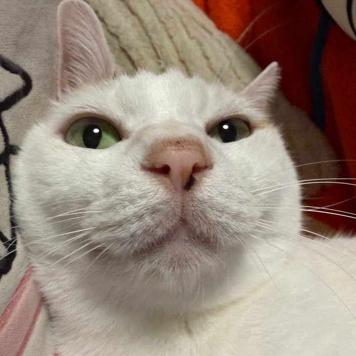 C40591bd d20c 4397 b455 1c1d8abaffb6 1768216720454