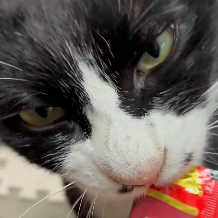 C405b1d3 66aa 433b b2eb 2e24883d09a0 1744336748410