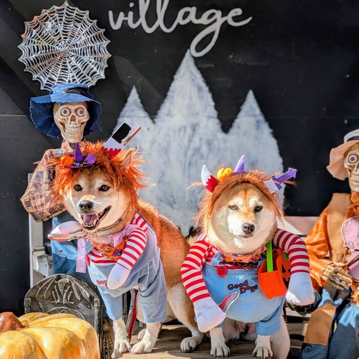 C405c133 47ff 45fe 86aa cccda21a05b1 1760331539457