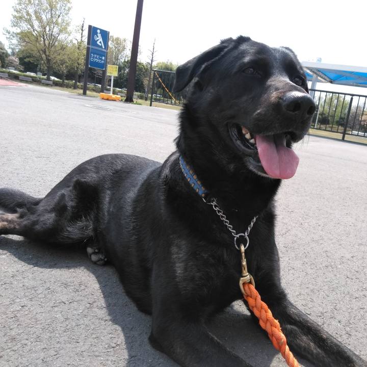 C405d582 386e 4afb afbc 553d7a5b3ba0 1586399330813