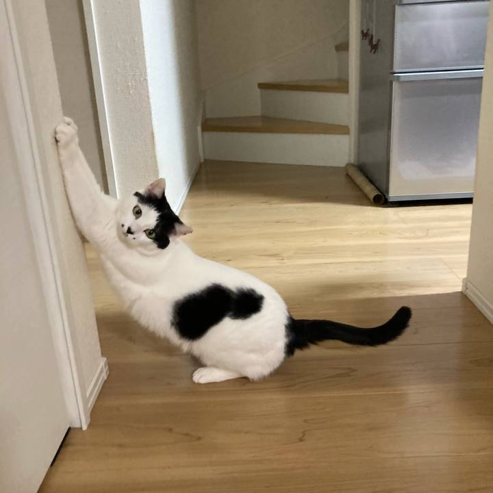 C405dd51 2a4d 4a94 884a 75f259794d05 1769288981755