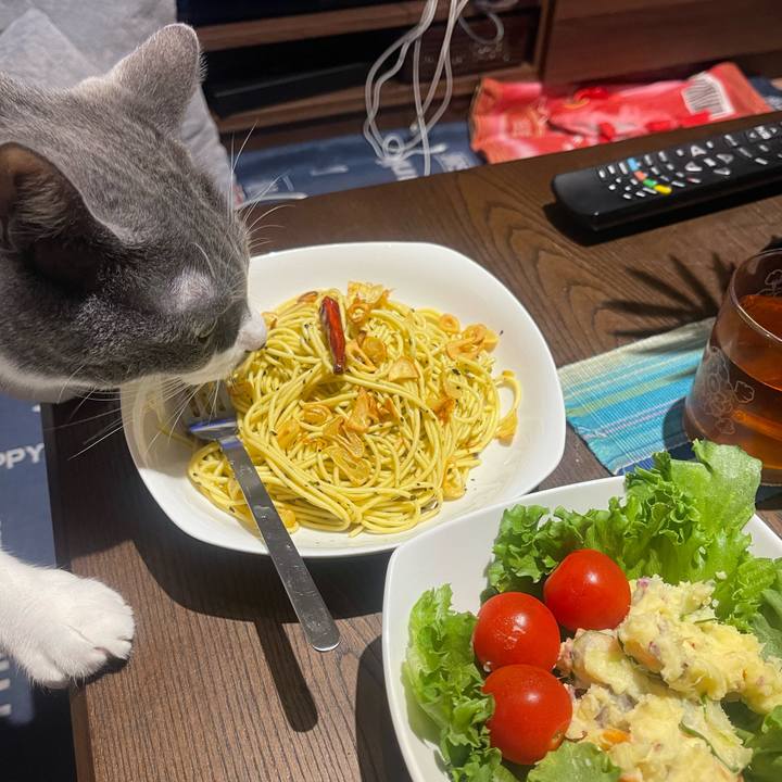 C406038d eda4 40d4 b1bb 0749f2f7838d 1728041915820