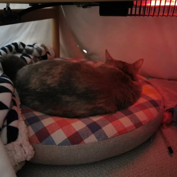 C40612c5 7faf 43a2 997e 3af9725098d9 1644040183023