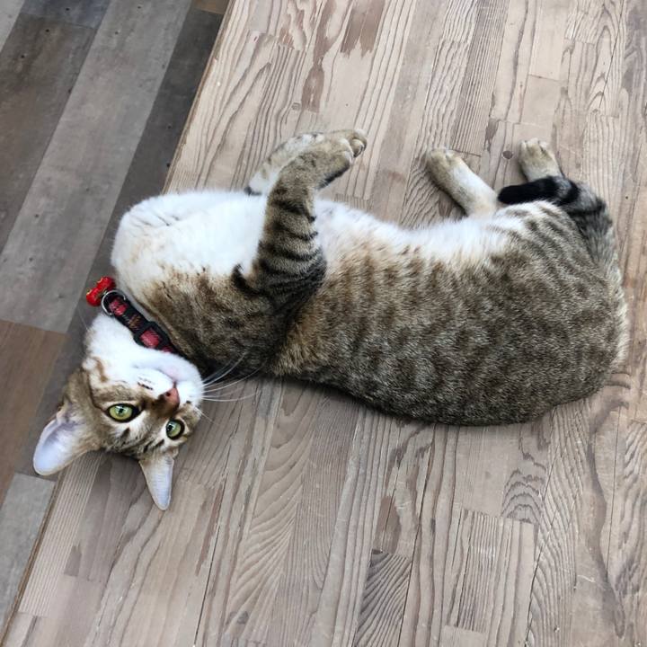 C406373c 487d 46d5 b720 37e282b827a6 1644048984999