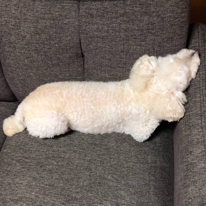 C40658bd 5f48 4bd2 bac3 1052f5782d88 1532168854319