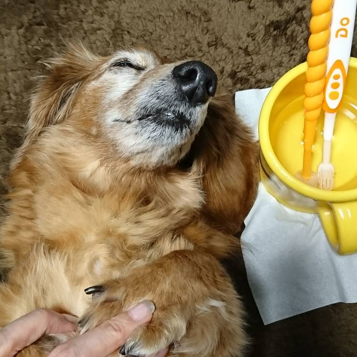 C406743a 15f7 4336 ad97 d8da44937d2d 1514741360121