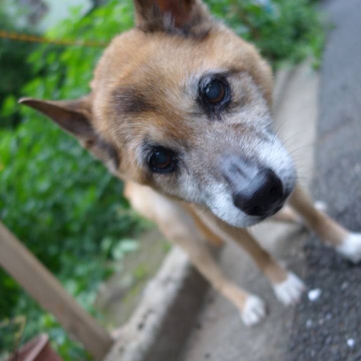 C40684f6 40c4 4f9b b236 d1f4c813dd1a 1562323844893