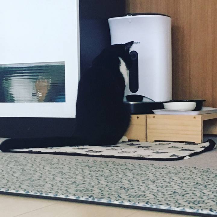 C406aff9 9fd0 4050 9b09 d00ab4b034dd 1569487104865