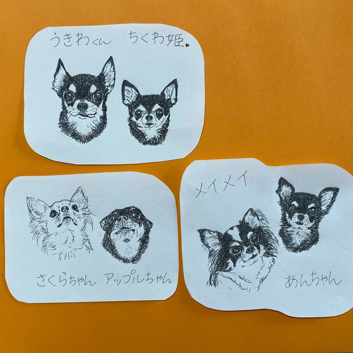 C406c574 ecb4 449e a74d 403c48346300 1618364737846