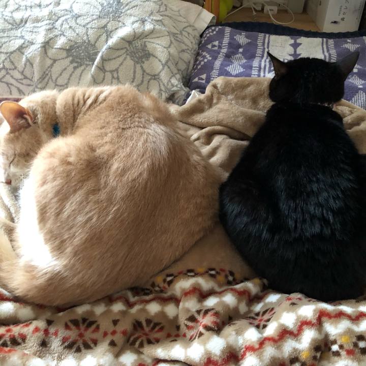 C406d174 3ecb 483c 82a2 33ac463993f0 1571466466560