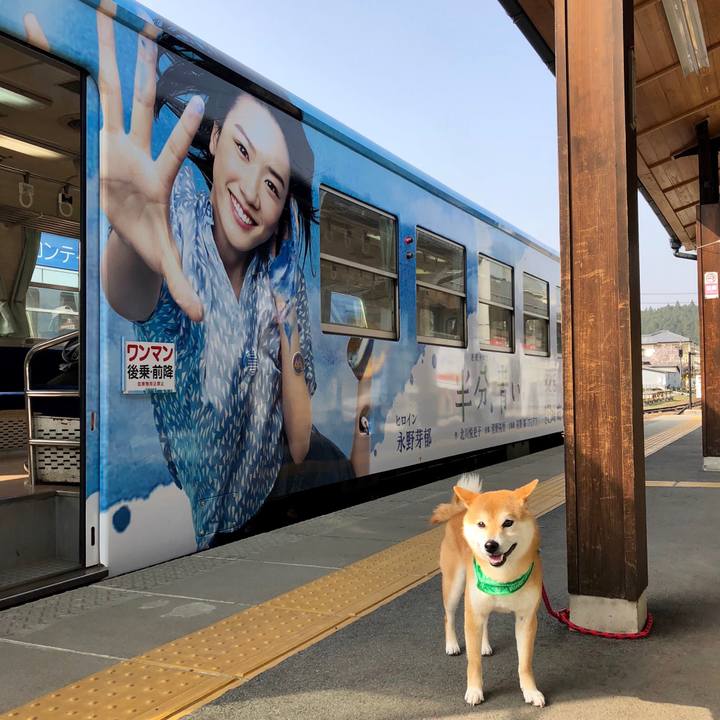 C40708b2 b0a4 4095 a893 03a02e839b71 1522653140183