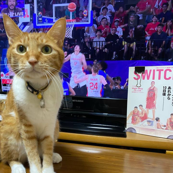 C4075156 5dee 49b8 b998 81ffe94be0fb 1693487493304