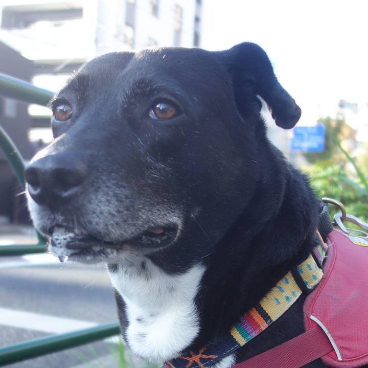 C4075409 b8c7 4fcc 8164 f17a466b44ae 1697085174824