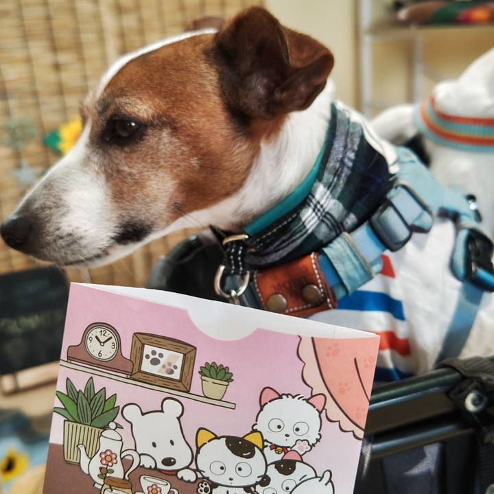 C4075d4a 6de1 4e01 8c12 c23e3164feda 1754704393494