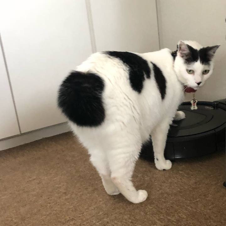 C407721e 6c04 4825 9cbf 5137e27d0ed6 1526426330815