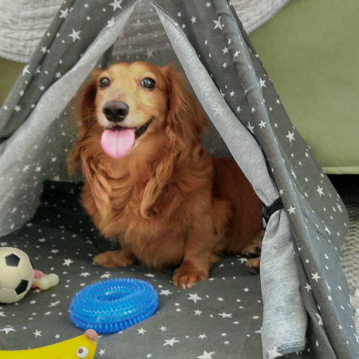 C4077fe7 a4c3 4698 b5a8 58d68b7860dd 1631264754682