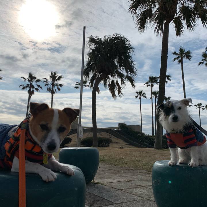 C4078bc1 b04f 4c0d 8163 03b6493c0aa4 1579919439347