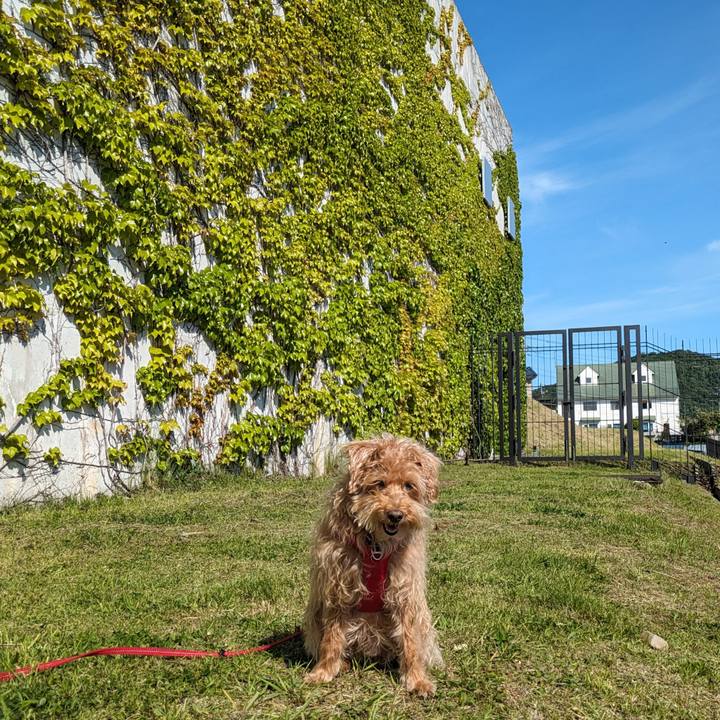 C4079dc2 578a 44f2 b260 67369bd31eba 1717327234530