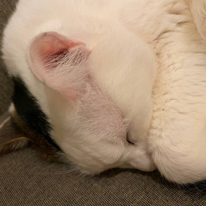 C407a7e8 6e79 4f66 90b8 6e9c889f2ff9 1673657868449