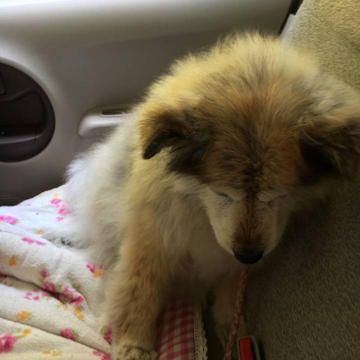 C407f03f 0fb3 4135 be0e 46b1a67322c8 1617336599258