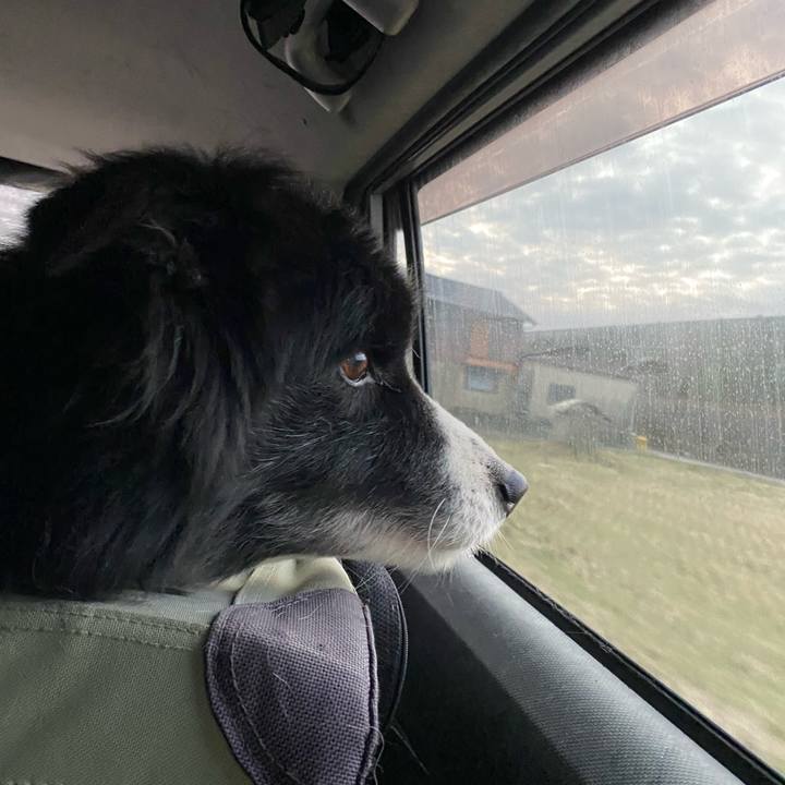 C40885c7 170a 48f2 8d1f 49d5961ffb5f 1677016682701