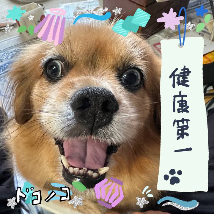 C4089c05 1943 4c1f 9301 b98265f64e2b 1721165022035