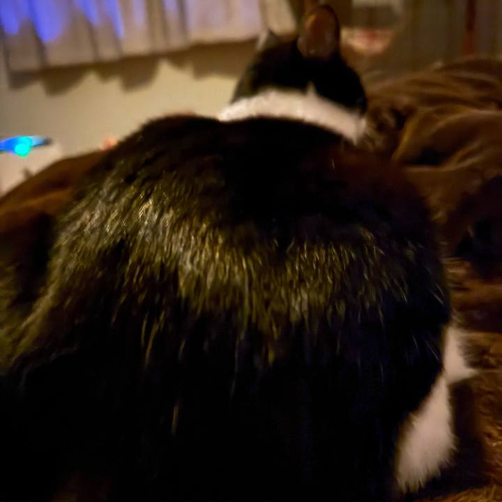 C4089d1f 0672 454b 9245 3abf1395853d 1769230591033