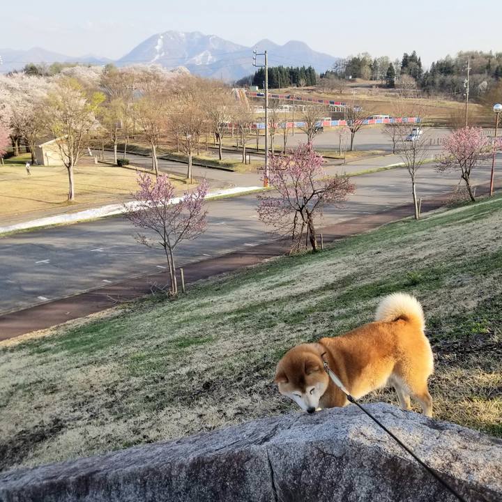 C408bc0d 8851 4052 871f e8c8b7d36431 1650441328327