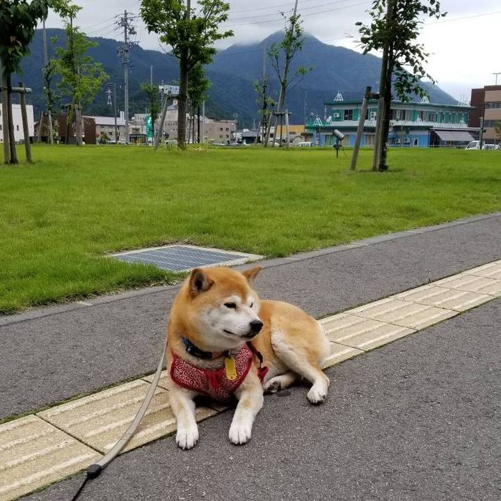 C4091c98 fd0c 4ed6 b026 b95ac404f07e 1561267197705