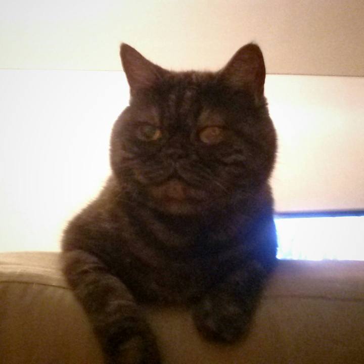 C4093e85 9b08 4313 be45 002778e99cfb 1508632719285